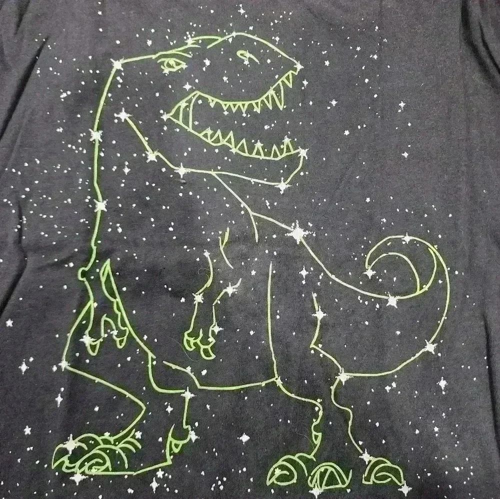 Children's Place Boys XL 14 Long Sleeve Tee Dark Grey Green Dinosaur
